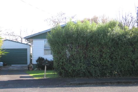 Photo of property in 53 Lewis Street, Glenview, Hamilton, 3206