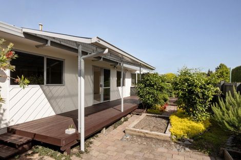 Photo of property in 9a Marshall Avenue, Greerton, Tauranga, 3112