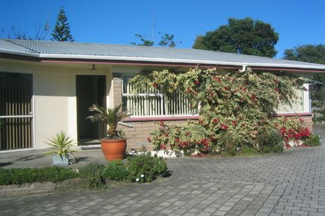 Photo of property in 64 Links Avenue, Mount Maunganui, 3116