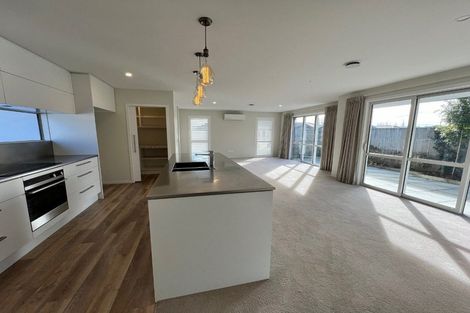 Photo of property in 45 Berryfield Drive, Richmond, 7020