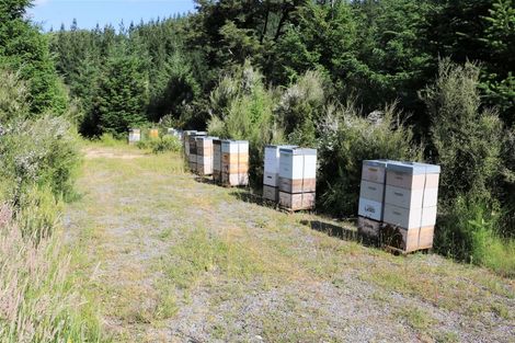 Photo of property in 147p Mount Lyford Forest Drive, Lyford, Waiau, 7395