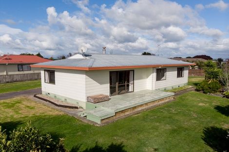 Photo of property in 14 Miller Place, Ngatea, 3503