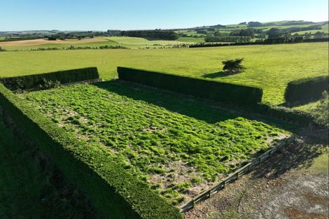 Photo of property in 60 Forest Hill Cemetery Road, Lochiel, Winton, 9781