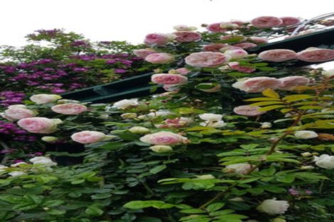 Photo of property in 37 Gillies Crescent, Waimarama, Havelock North, 4294