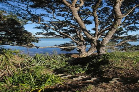 Photo of property in 100 Wharf Road, Clarks Beach, Pukekohe, 2679