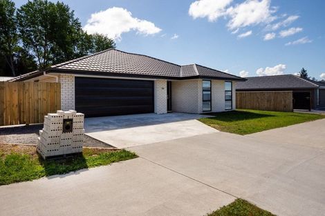 Photo of property in 84 Turnbull Drive, Witherlea, Blenheim, 7201