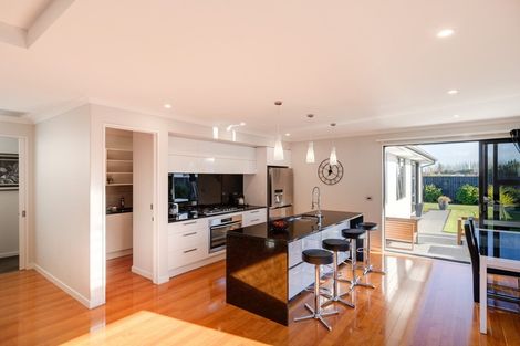 Photo of property in 81 Metehau Street, Marshland, Christchurch, 8083