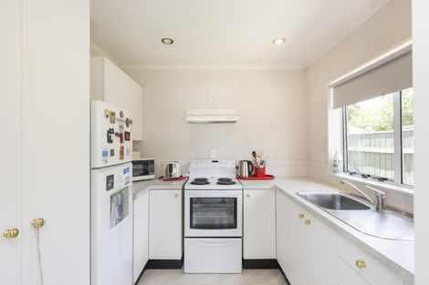 Photo of property in 71 Bryant Street, Takaro, Palmerston North, 4412