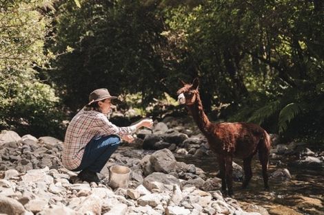 Photo of property in 272 Uruwhenua Road, Upper Takaka, Takaka, 7183