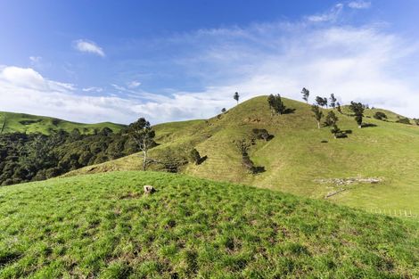 Photo of property in 309c Wentworth Valley Road, Whangamata, 3691