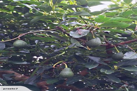 Photo of property in 21 Philomel Crest, Welcome Bay, Tauranga, 3112