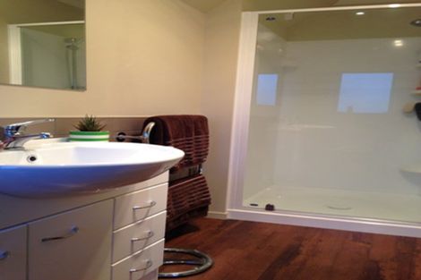 Photo of property in 54a Willoughby Street, Whitiora, Hamilton, 3200