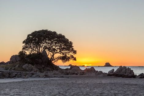 Photo of property in 11 Crichton Terrace, Mount Maunganui, 3116