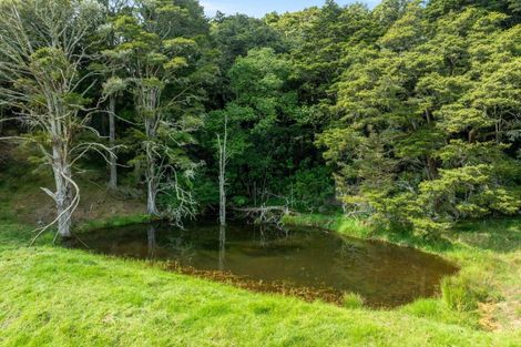 Photo of property in 442 Whananaki Road North, Opuawhanga, Hikurangi, 0181
