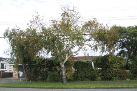 Photo of property in 13 Frederick Street, Avalon, Lower Hutt, 5011