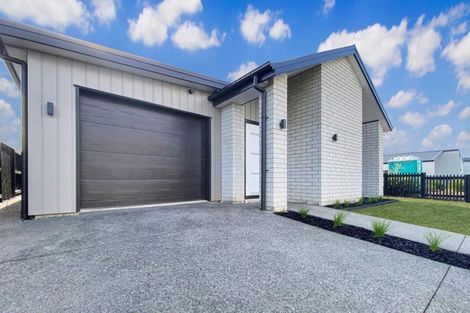 Photo of property in 63 Probert Crescent, Chartwell, Hamilton, 3210