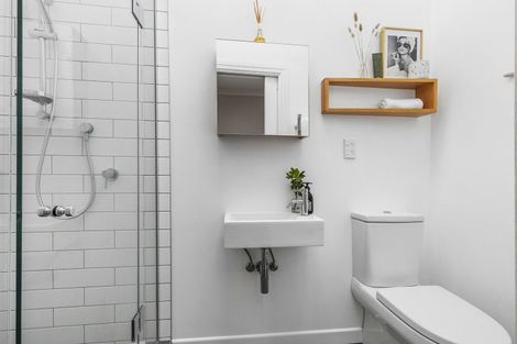 Photo of property in 55 Mckinley Crescent, Brooklyn, Wellington, 6021