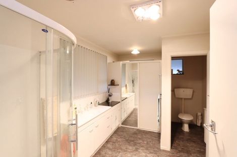 Photo of property in 3 Highfield Street, Waiau, 7332