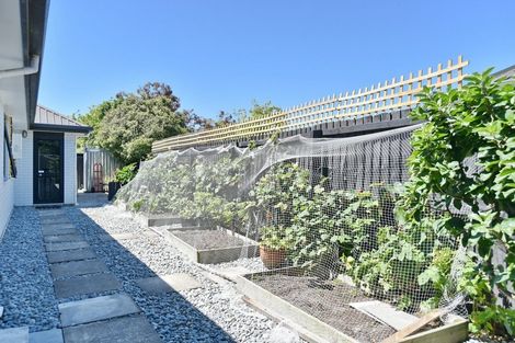 Photo of property in 10 Glastonbury Drive, Burwood, Christchurch, 8083