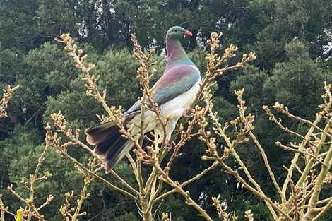 Photo of property in 194 Underhill Road, Woodside, Greytown, 5794