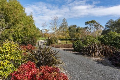 Photo of property in 346 Clifton Road, Whitford, Howick, 2571