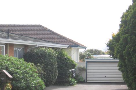 Photo of property in 128b Pillans Road, Otumoetai, Tauranga, 3110