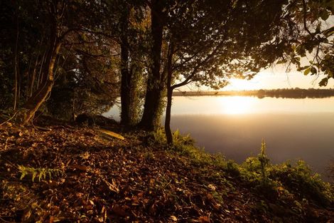 Photo of property in 48 Vine Avenue, Maungatapu, Tauranga, 3112