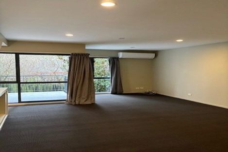 Photo of property in 61d Barbour Street, Waltham, Christchurch, 8011