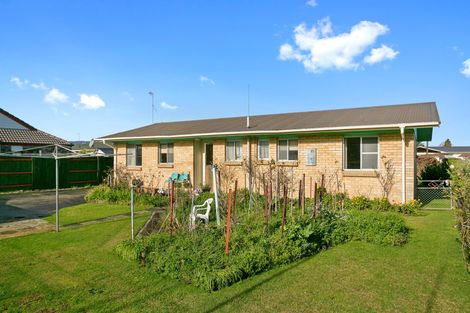Photo of property in 22 Sim Street, Matamata, 3400