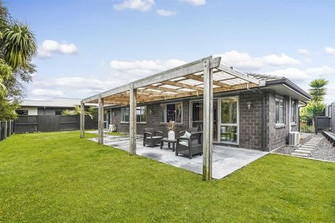 Photo of property in 29 Bentley Rise, Flagstaff, Hamilton, 3210