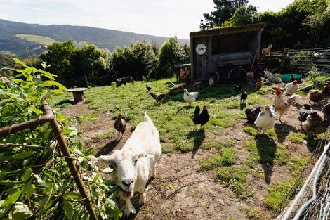 Photo of property in 16 Boundary Street, Purakaunui, Port Chalmers, 9081