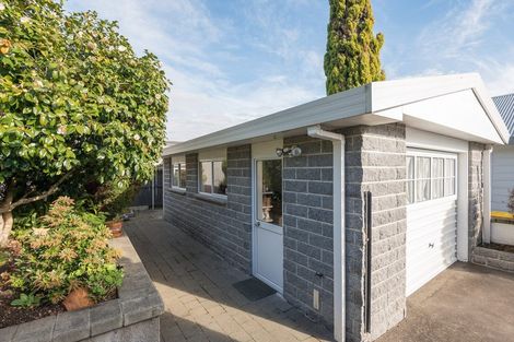 Photo of property in 34 Chelsea Avenue, Richmond, 7020