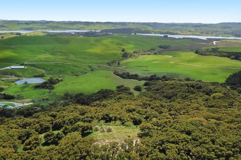 Photo of property in 542e Oneriri Road, Kaiwaka, 0573