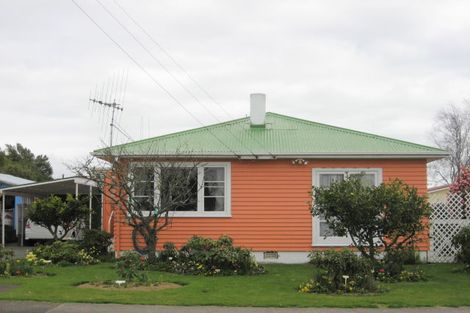 Photo of property in 28 Power Street, Levin, 5510