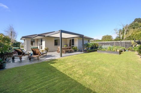 Photo of property in 15 Hansard Place, Bethlehem, Tauranga, 3110
