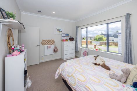 Photo of property in 227 Wallace Terrace, Te Awamutu, 3800