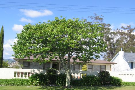 Photo of property in 62 Harrier Street, Parkvale, Tauranga, 3112