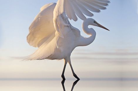 Photo of property in 109 The Strand, Okarito, Whataroa, 7886