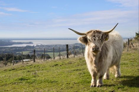 Photo of property in 413d Busby Road, Tahawai, Katikati, 3170