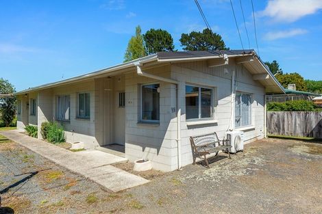 Photo of property in 91a Rimu Street, Maeroa, Hamilton, 3200