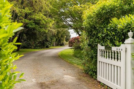 Photo of property in 43 Jordan Terrace, Lansdowne, Masterton, 5810