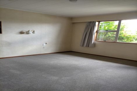 Photo of property in 18 Ventry Street, Alexandra, 9320