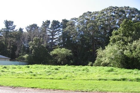 Photo of property in 6 Kereru Grove, Featherston, 5710