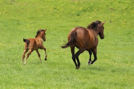 Photo of property in 570 Tauranga Road, Te Poi, Matamata, 3473
