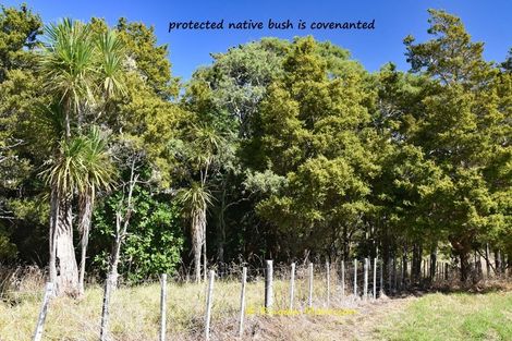 Photo of property in 196 Metcalfe Road, Matakohe, 0593