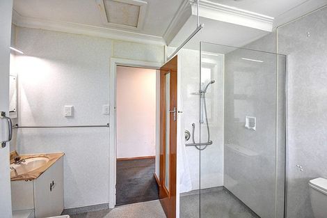 Photo of property in 217 Union Street, Milton, 9220