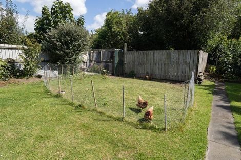 Photo of property in 74 David Street, Hinds, Ashburton, 7773