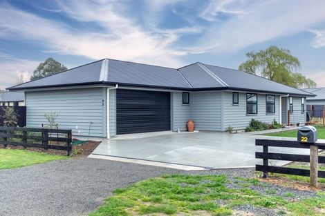 Photo of property in 22 David Street, Hinds, Ashburton, 7773
