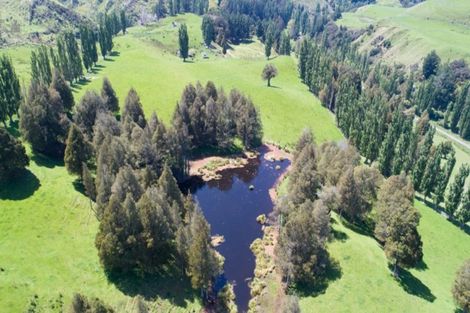 Photo of property in 665 Longacre Road, Okoia, Whanganui, 4582