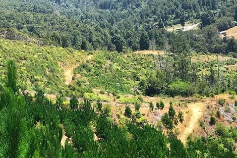 Photo of property in 388 Wentworth Valley Road, Whangamata, 3691